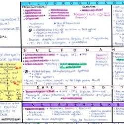 Step 1 biostats cheat sheet