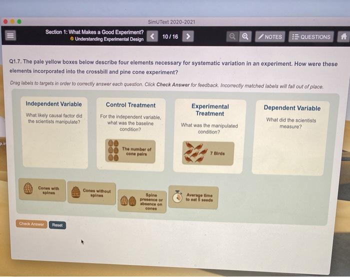 Simutext understanding experimental design answers