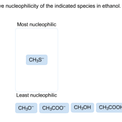 Rank nucleophilicity relative indicated nucleophilic ch3coo ch3cooh ch3oh