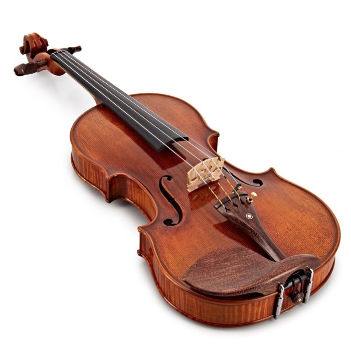 Violin musical facts instrument instruments find dk kids fun music cello bow visit